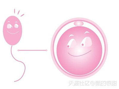 在二胎潮流面前应该如何备孕？试管婴儿你准备好了吗(转载)